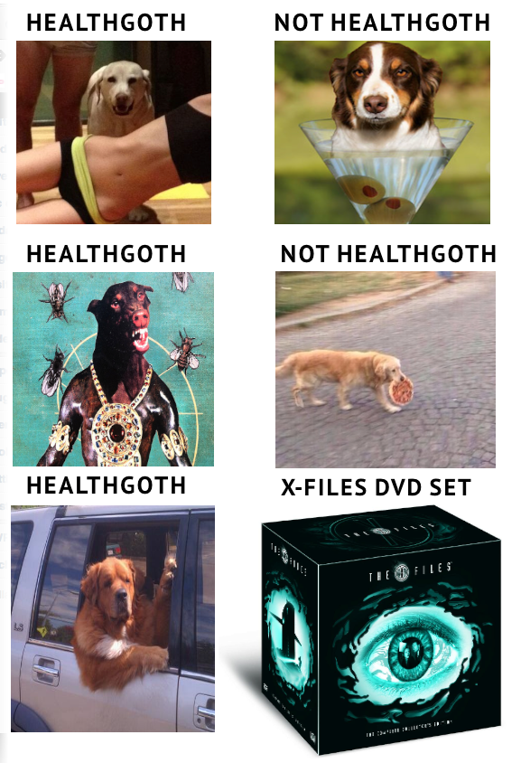 Audioccult-HealthGoth Guide