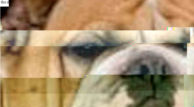 aaa