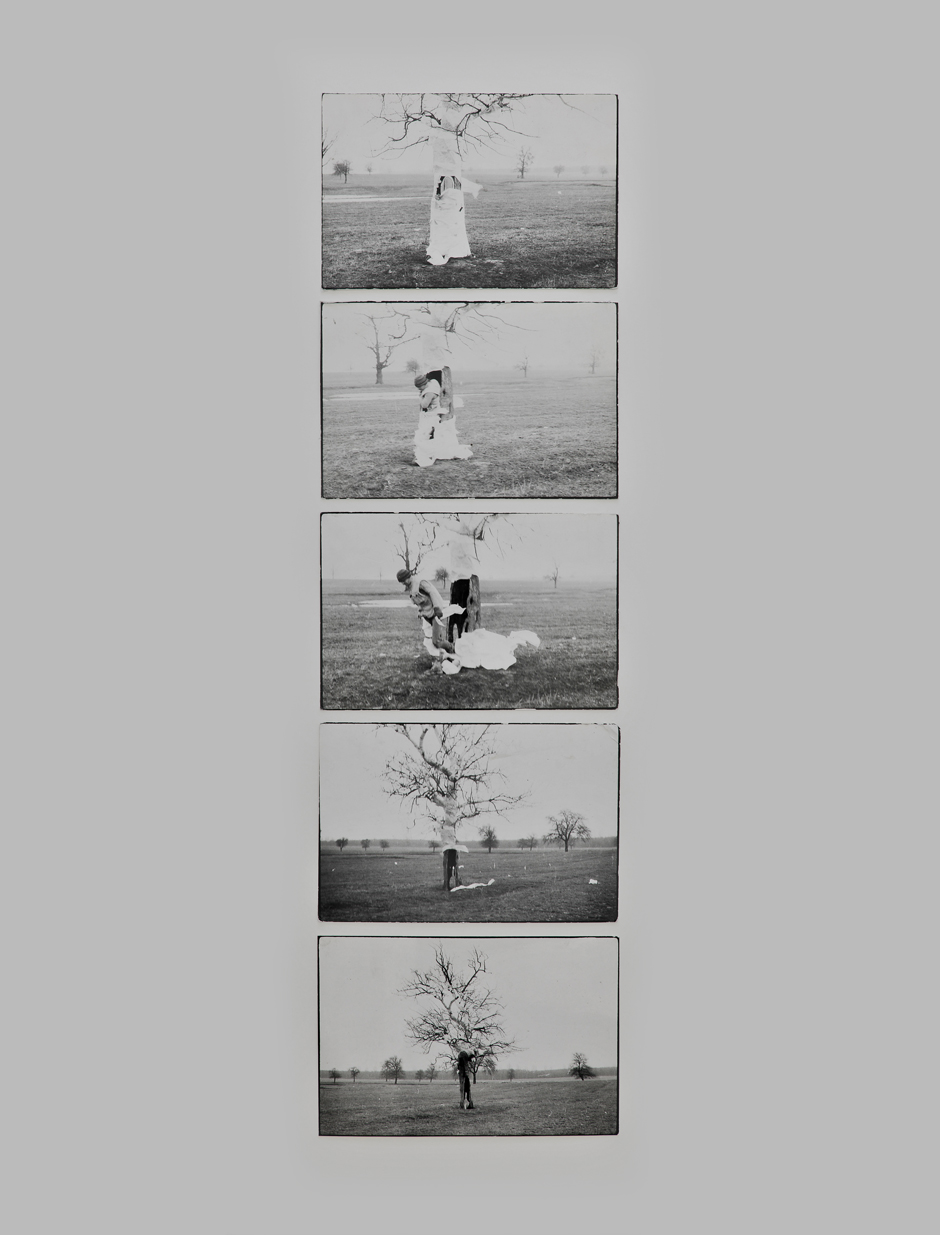 Dan Perjowschi: Action Tree (1989)