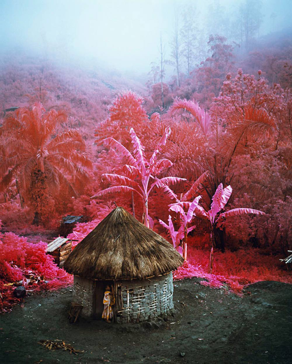 Come Out (1966) II, North Kivu, eastern Democratic Republic of Congo, 2011. Richard Mosse, courtesy of the artist and Galerie earlier gebauer.
