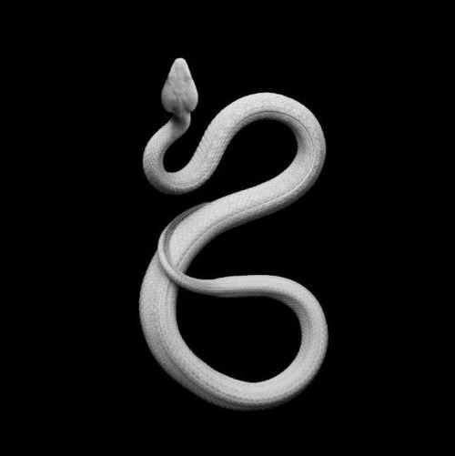 Serpent