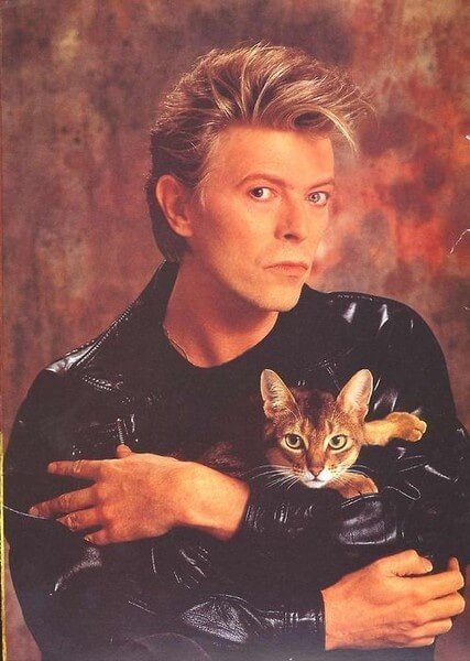 Bowie-Cat-People-500