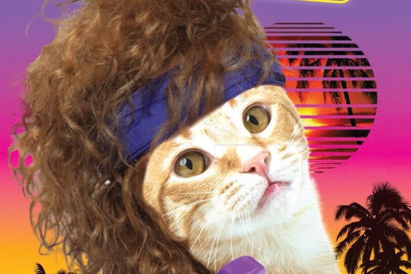 cats_of_86.jpg