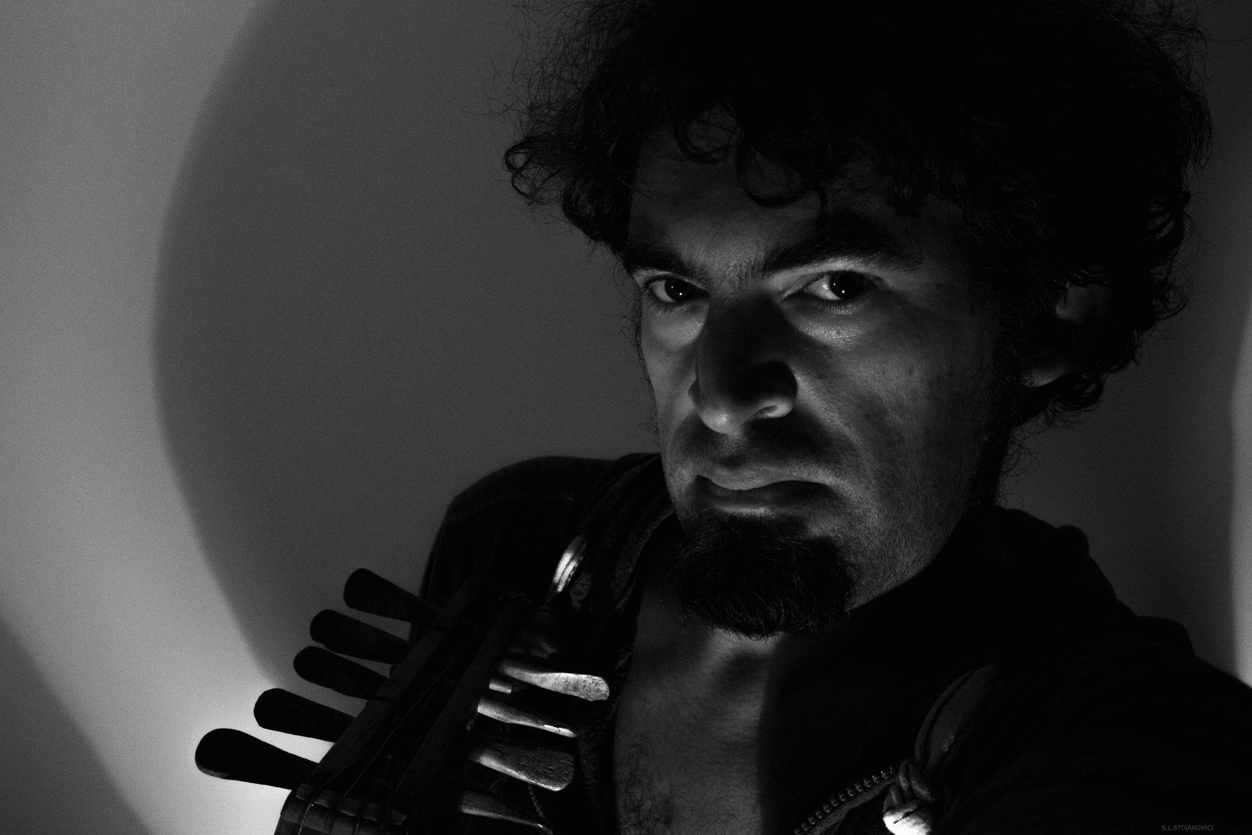 sasa liviu stoianovici