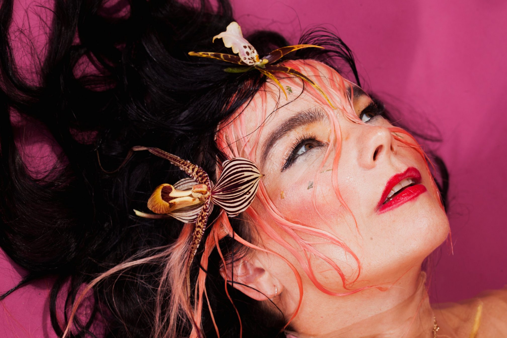 Bjork