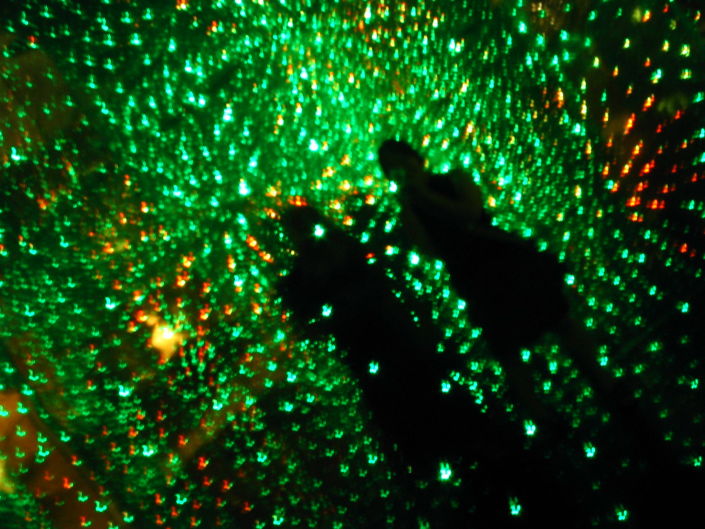 Party preview 12-15 septembrie