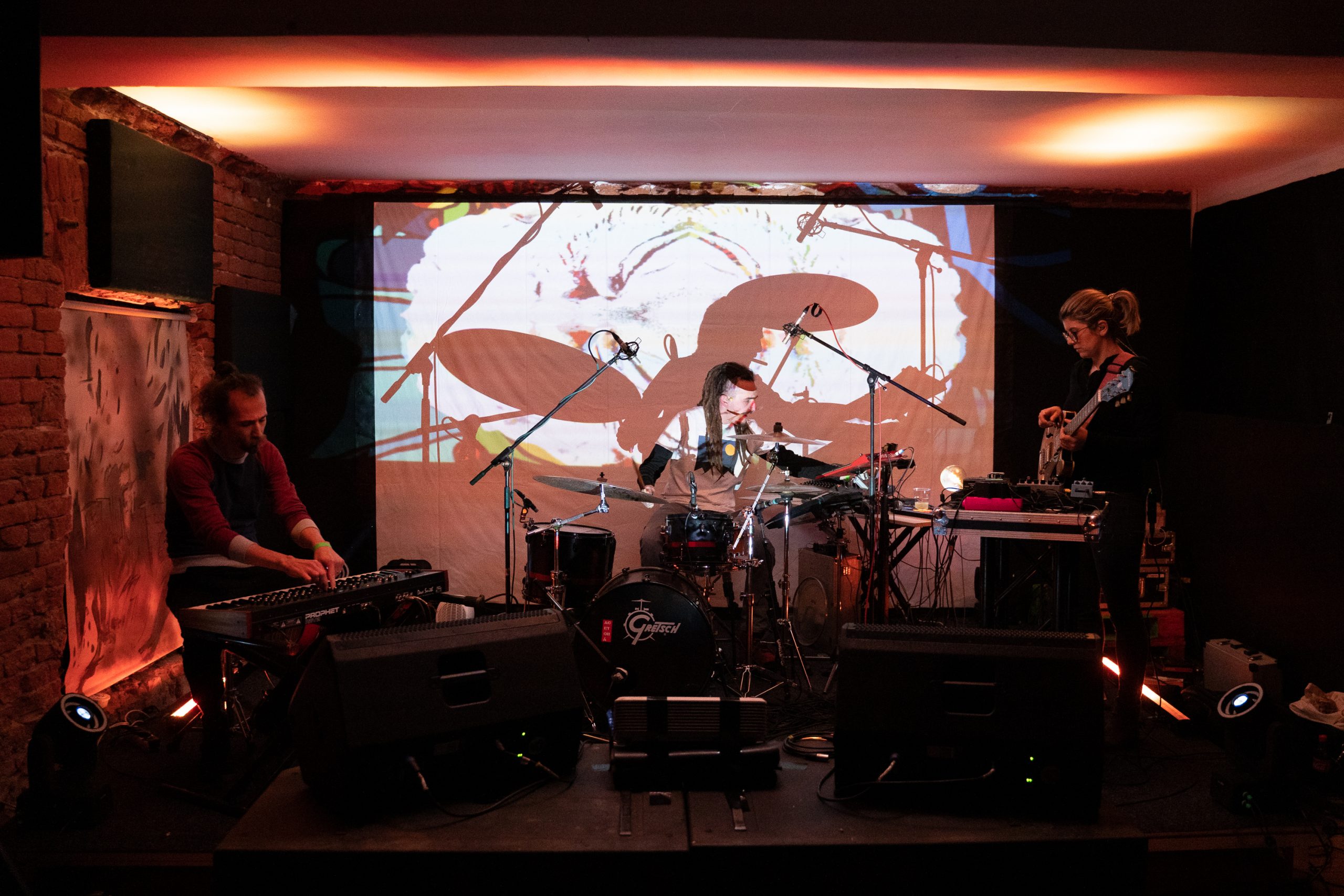 Acetobă live. Foto: Ovidiu Zimcea