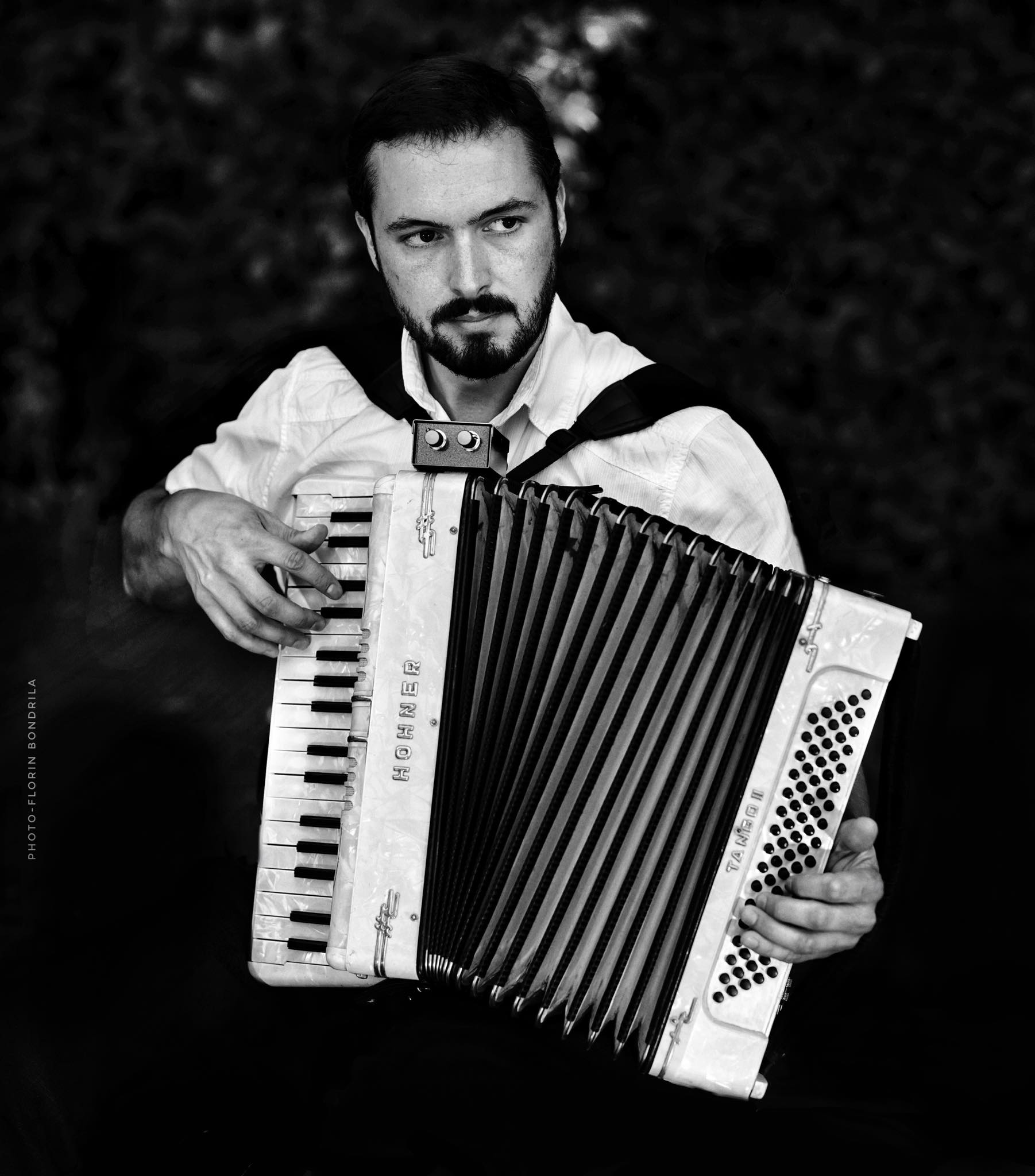 Shaun Williams la acordeon. Foto: Florin Bondrilă